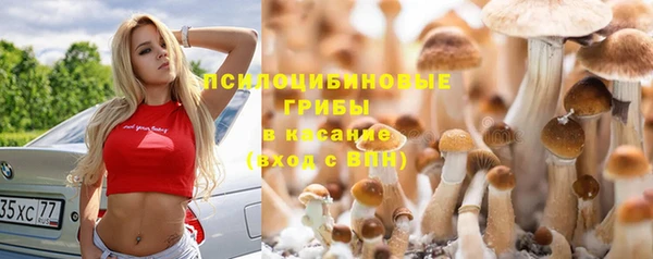 МДМА Куйбышев