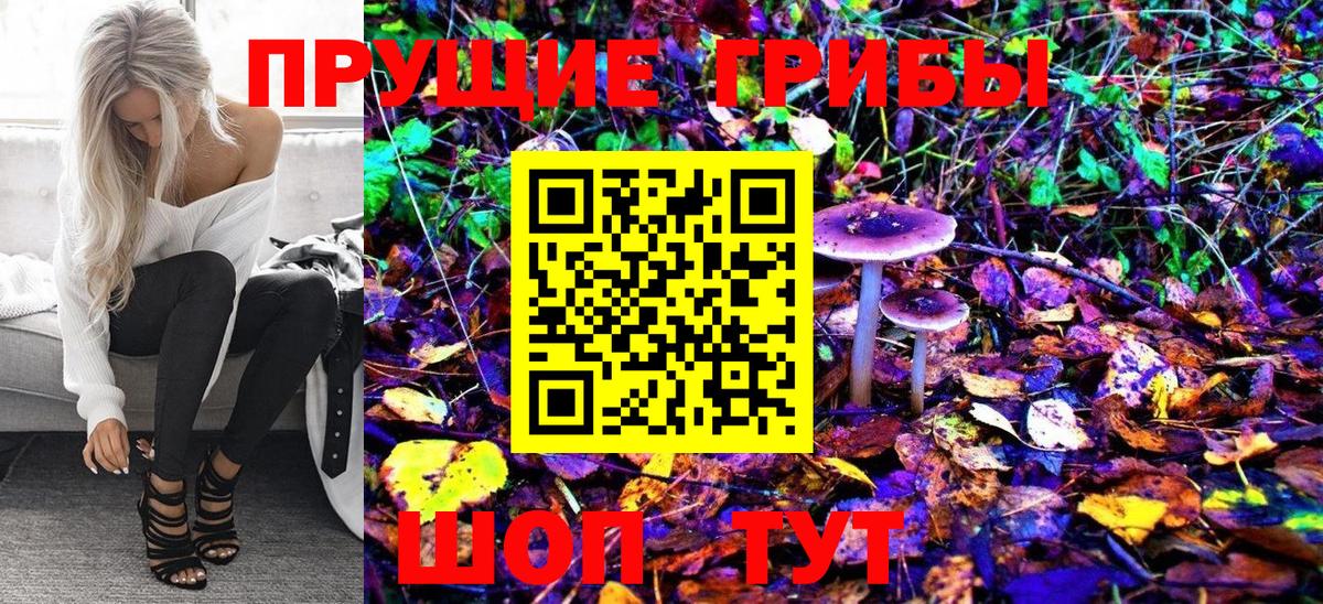 Псилоцибиновые грибы Cubensis  Вход с VPN  Кисловодск  Псилоцибиновые грибы Psilocybine cubensis 