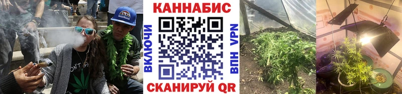 Канабис планчик  Кисловодск 